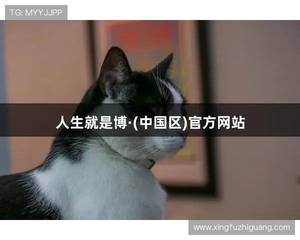 尊龙人生就是博网站：打造智慧人生的理想在线娱乐平台