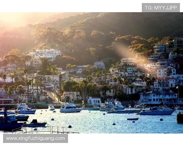 洛杉矶赌场周边旅游攻略，结合娱乐与休闲的完美度假指南