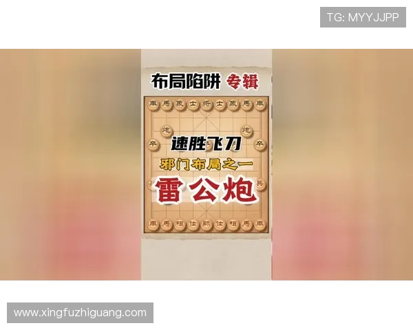 全面解析不同类型棋牌游戏的规则与策略，帮助新手快速入门成为高手