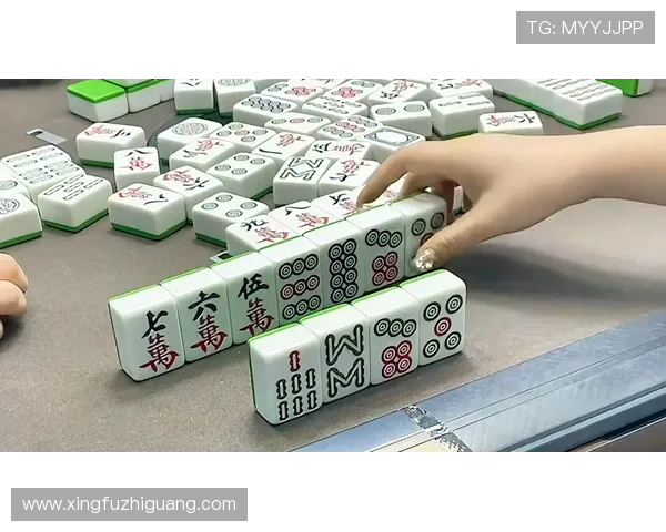 二八杠游戏规则全攻略新手入门到高手进阶的实用技巧分享