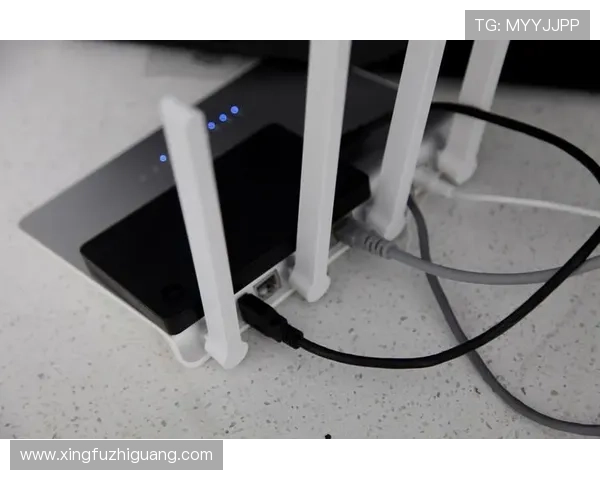 欧博abg手机版登录安全保障措施，保障玩家账号信息安全